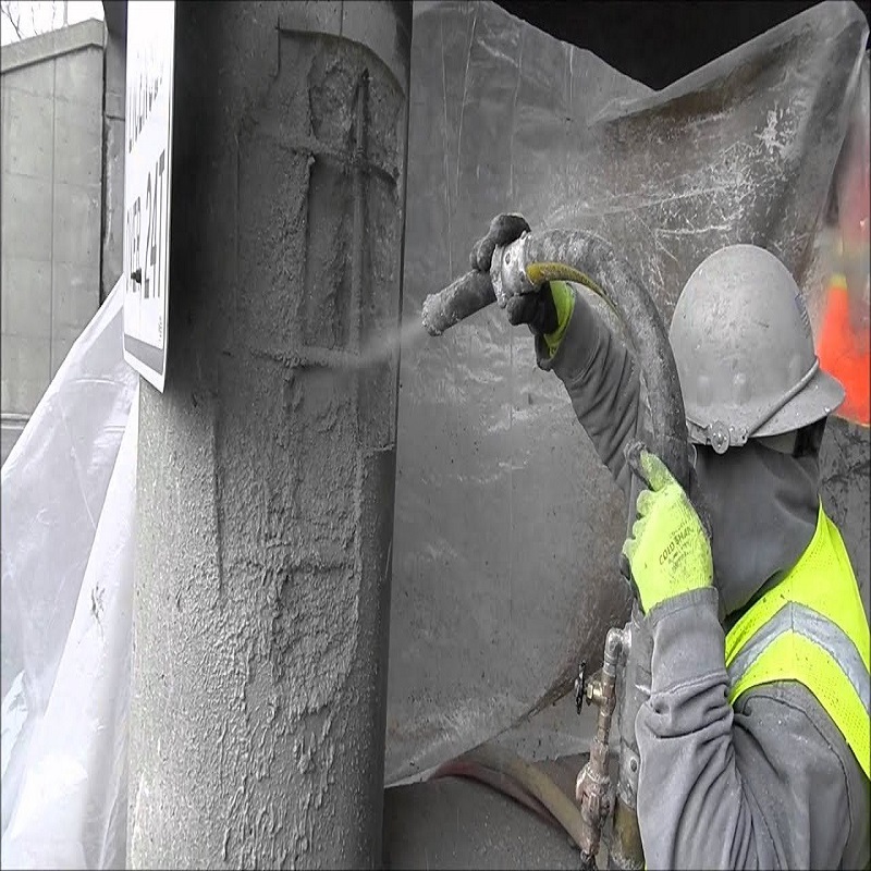 Bridges Guniting Work